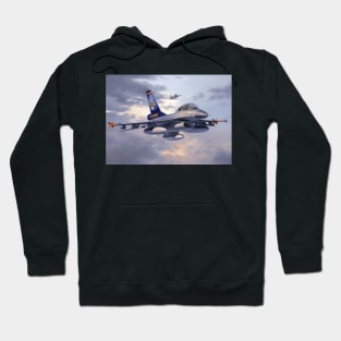 F16 Fighting Falcon Hoodie